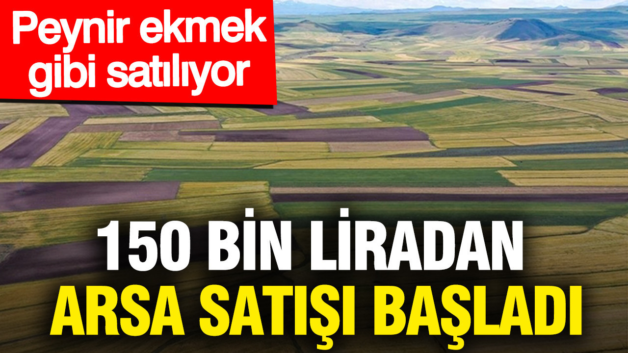 150 bin liradan arsa satışı başladı: Peynir ekmek gibi satılıyor